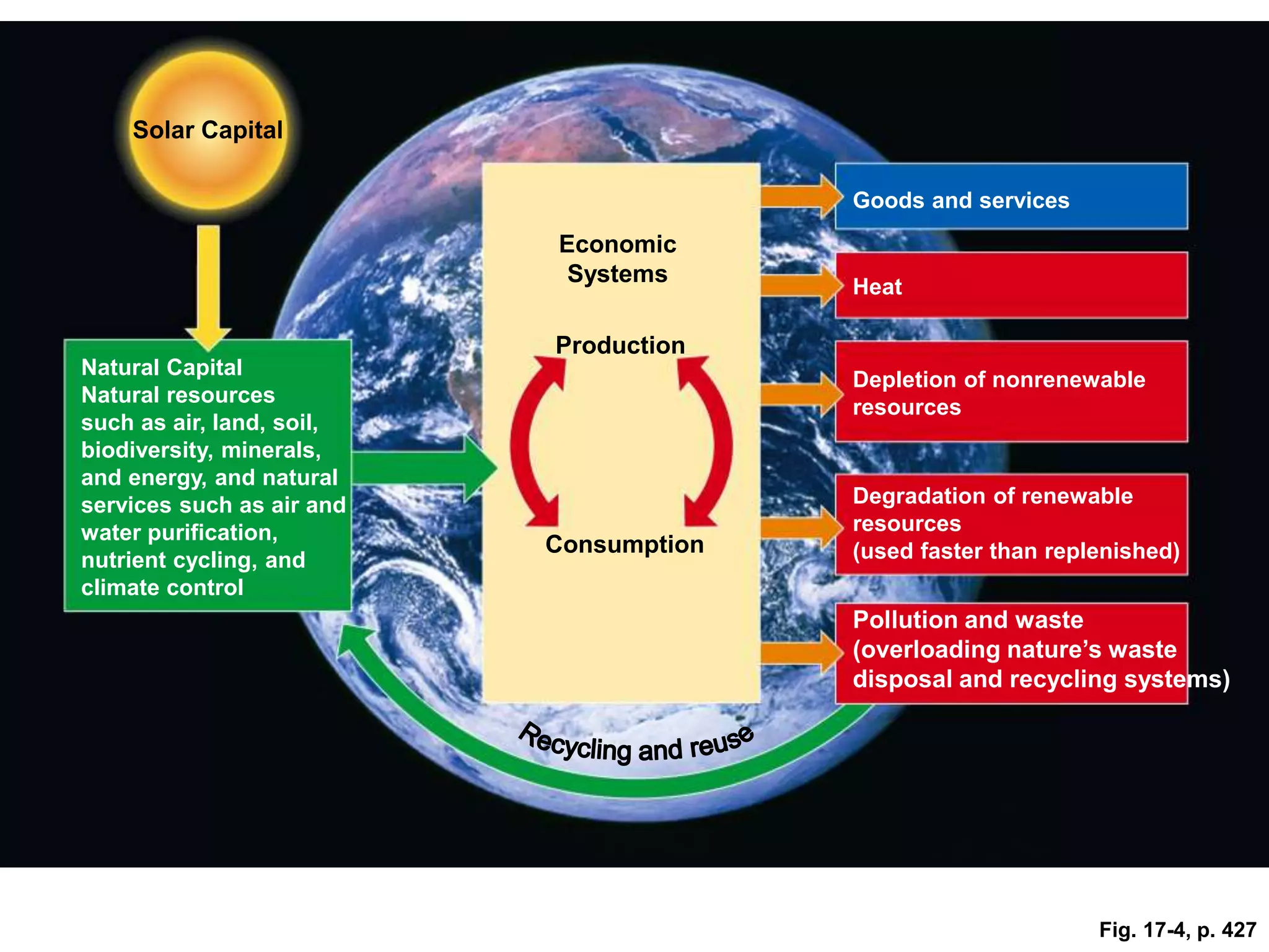 Solar Capital
Economic
Systems
Production
Consumption
Natural Capital
Natural resources
such as air, land, soil,
biodiversity, minerals,
and energy, and natural
services such as air and
water purification,
nutrient cycling, and
climate control
Pollution and waste
(overloading nature’s waste
disposal and recycling systems)
Degradation of renewable
resources
(used faster than replenished)
Depletion of nonrenewable
resources
Heat
Goods and services
Fig. 17-4, p. 427
 
