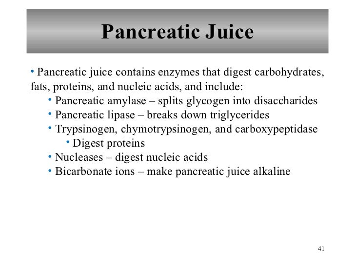 Chapter 17 Digestive System