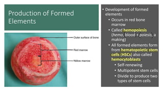 Hemo Types chapter 17 Blood.pdf blood chapter from SIUe | PDF
