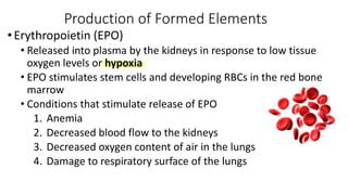 chapter 17 Blood.pdf blood chapter from SIUe | PDF