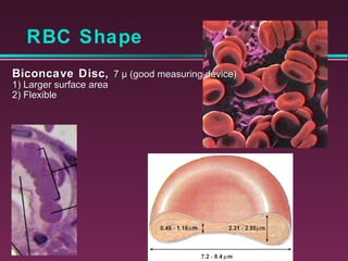 Chapter17 bloodmarieb | PPT