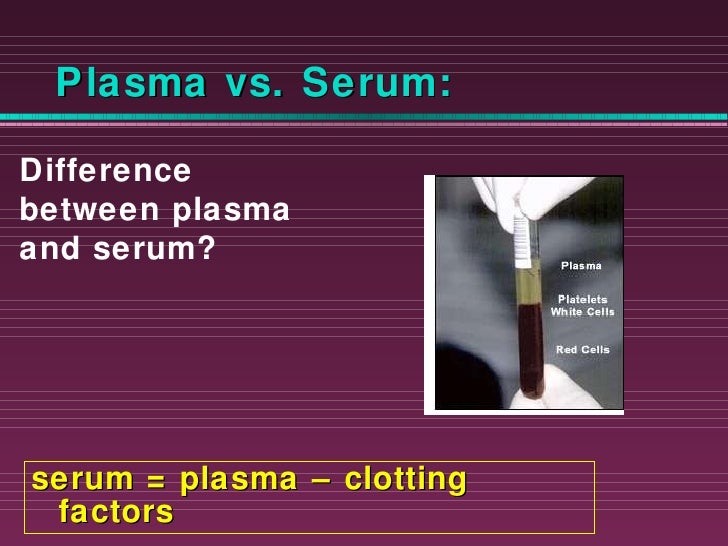plasma vs serum