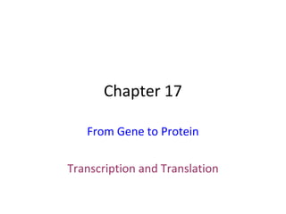 Chapter 17
From Gene to Protein
Transcription and Translation
 