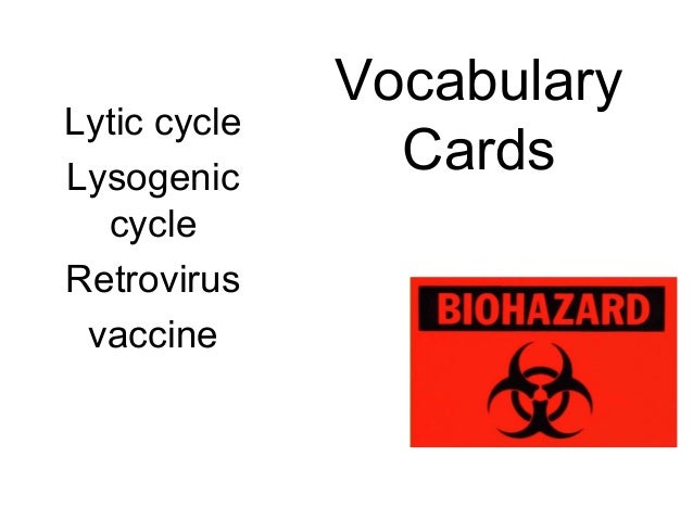 Get Creutzfeldt-Jakob Disease (Cjd) And Bovine Spongiform Encephalopathy (Bse) Is Caused By A(N) Quizlet Images