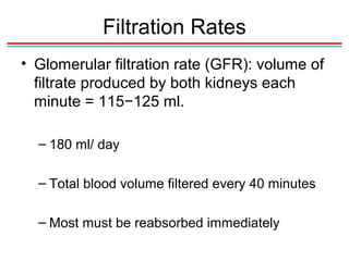 Filtration Rates
• Glomerular filtration rate (GFR): volume of
  filtrate produced by both kidneys each
  minute = 115−125 ml.

  – 180 ml/ day

  – Total blood volume filtered every 40 minutes

  – Most must be reabsorbed immediately
 