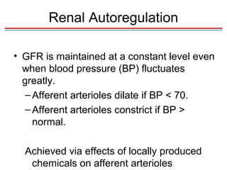 Renal Autoregulation

• GFR is maintained at a constant level even
  when blood pressure (BP) fluctuates
  greatly.
   – Afferent arterioles dilate if BP < 70.
   – Afferent arterioles constrict if BP >
     normal.

  Achieved via effects of locally produced
   chemicals on afferent arterioles
 