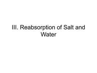 III. Reabsorption of Salt and
           Water
 