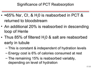 Significance of PCT Reabsorption

• ≈65% Na+, Cl-, & H20 is reabsorbed in PCT &
  returned to bloodstream
• An additional 20% is reabsorbed in descending
  loop of Henle
• Thus 85% of filtered H20 & salt are reabsorbed
  early in tubule
  – This is constant & independent of hydration levels
  – Energy cost is 6% of calories consumed at rest
  – The remaining 15% is reabsorbed variably,
    depending on level of hydration
                                                         17-35
 