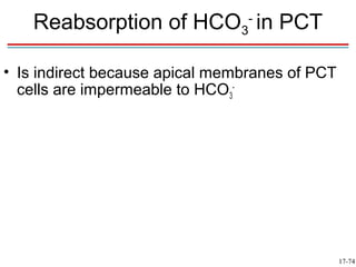 Reabsorption of HCO3- in PCT

• Is indirect because apical membranes of PCT
  cells are impermeable to HCO3-




                                                17-74
 