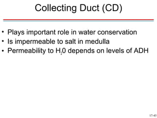 Collecting Duct (CD)

• Plays important role in water conservation
• Is impermeable to salt in medulla
• Permeability to H20 depends on levels of ADH




                                                 17-45
 