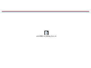 anim0082-rm_kidney_func.rm
 