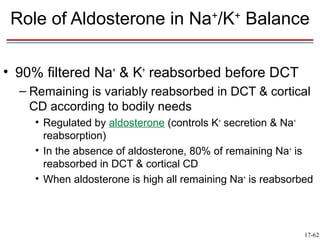 Role of Aldosterone in Na+/K+ Balance

• 90% filtered Na+ & K+ reabsorbed before DCT
  – Remaining is variably reabsorbed in DCT & cortical
    CD according to bodily needs
    • Regulated by aldosterone (controls K+ secretion & Na+
      reabsorption)
    • In the absence of aldosterone, 80% of remaining Na+ is
      reabsorbed in DCT & cortical CD
    • When aldosterone is high all remaining Na+ is reabsorbed




                                                            17-62
 