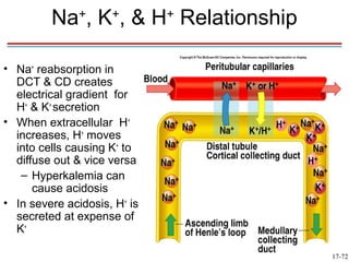 Na+, K+, & H+ Relationship

• Na+ reabsorption in
  DCT & CD creates
  electrical gradient for
  H+ & K+ secretion           Insert fig. 17.27
• When extracellular H+
  increases, H+ moves
  into cells causing K+ to
  diffuse out & vice versa
   – Hyperkalemia can
      cause acidosis
• In severe acidosis, H+ is
  secreted at expense of
  K+

                                                  17-72
 