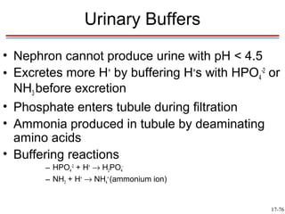 Urinary Buffers
• Nephron cannot produce urine with pH < 4.5
• Excretes more H+ by buffering H+s with HPO4-2 or
  NH3 before excretion
• Phosphate enters tubule during filtration
• Ammonia produced in tubule by deaminating
  amino acids
• Buffering reactions
       – HPO4-2 + H+ → H2PO4-
       – NH3 + H+ → NH4+ (ammonium ion)


                                                17-76
 