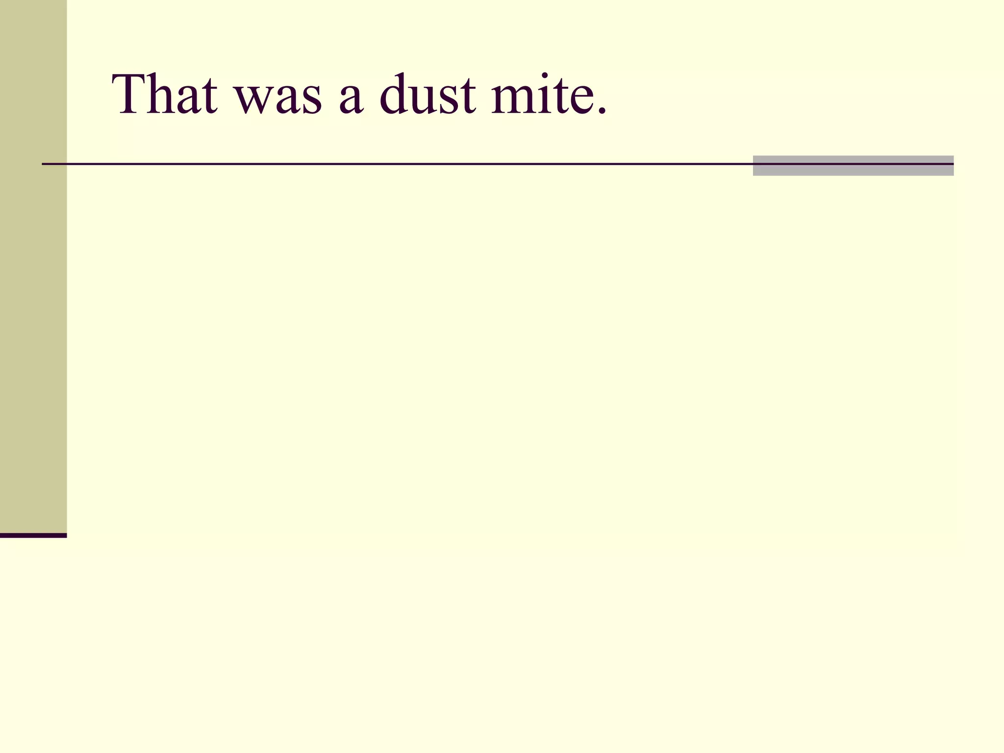 That was a dust mite. 