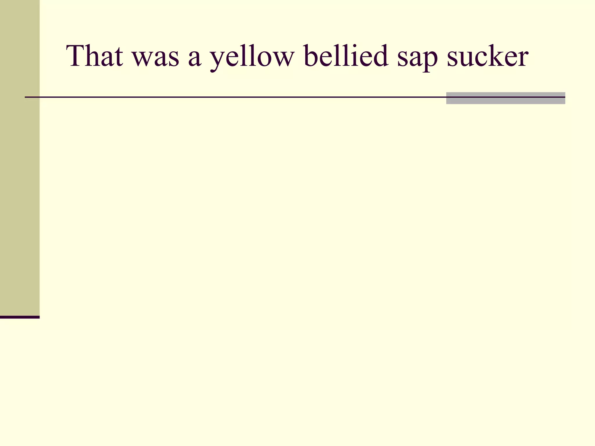 That was a yellow bellied sap sucker 