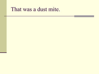 That was a dust mite. 