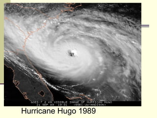 Hurricane Hugo 1989 