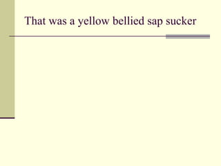 That was a yellow bellied sap sucker 