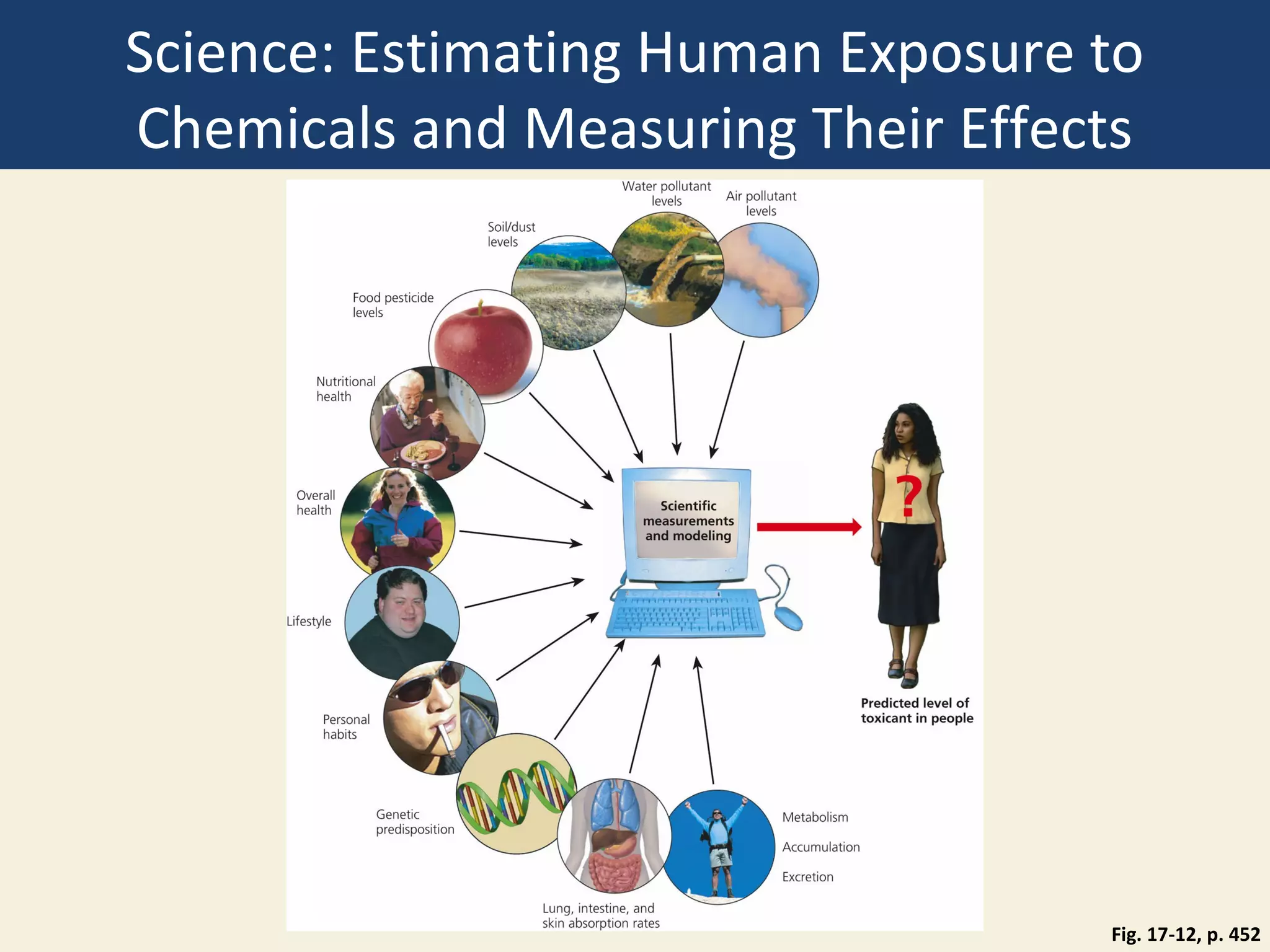 Science: Estimating Human Exposure to
Chemicals and Measuring Their Effects




                                   Fig. 17-12, p. 452
 