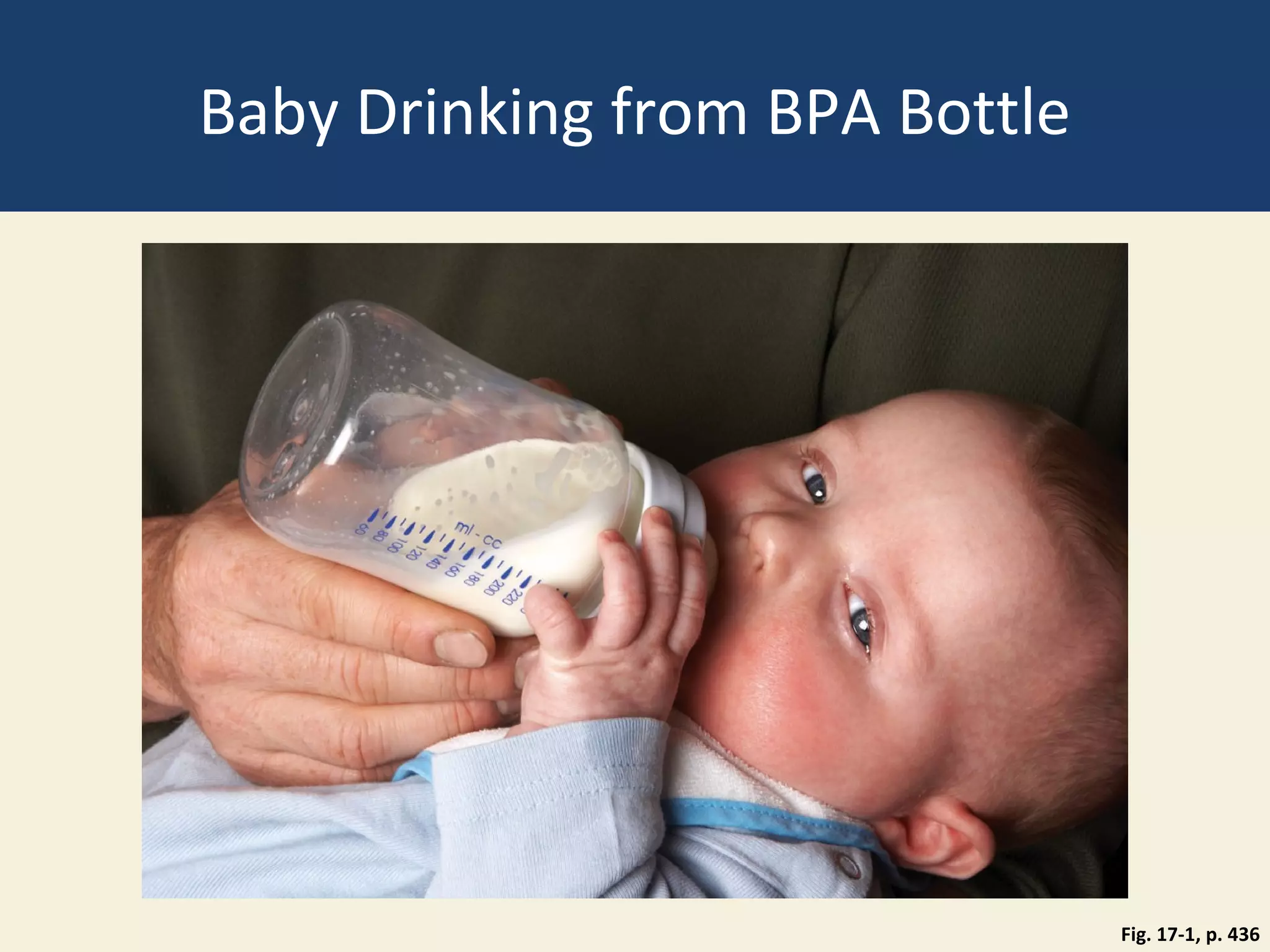 Baby Drinking from BPA Bottle




                                Fig. 17-1, p. 436
 