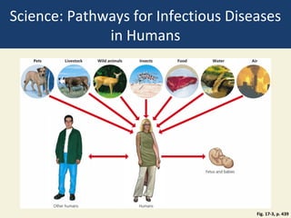 Science: Pathways for Infectious Diseases
              in Humans




                                     Fig. 17-3, p. 439
 