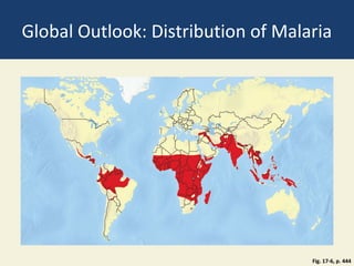 Global Outlook: Distribution of Malaria




                                    Fig. 17-6, p. 444
 