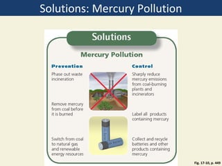 Solutions: Mercury Pollution




                               Fig. 17-10, p. 449
 