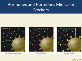 Hormones and Hormones Mimics or
           Blockers




                             Fig. 17-11, p. 449
 