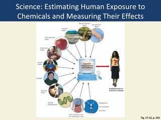 Science: Estimating Human Exposure to
Chemicals and Measuring Their Effects




                                   Fig. 17-12, p. 452
 