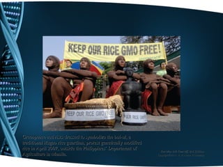 Greenpeace activists dressed to symbolize the bul-ul, a
traditional ifugao rice guardian, protest genetically modified
rice in April 2007, outside the Philippines’ Department of
                                                                  You May Ask Yourself, 2nd Edition
Agriculture in Manila.                                           Copyright © 2011 W.W. Norton & Company
 