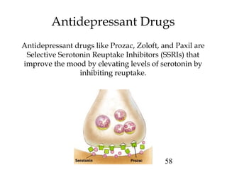 58
Antidepressant Drugs
Antidepressant drugs like Prozac, Zoloft, and Paxil are
Selective Serotonin Reuptake Inhibitors (SSRIs) that
improve the mood by elevating levels of serotonin by
inhibiting reuptake.
 