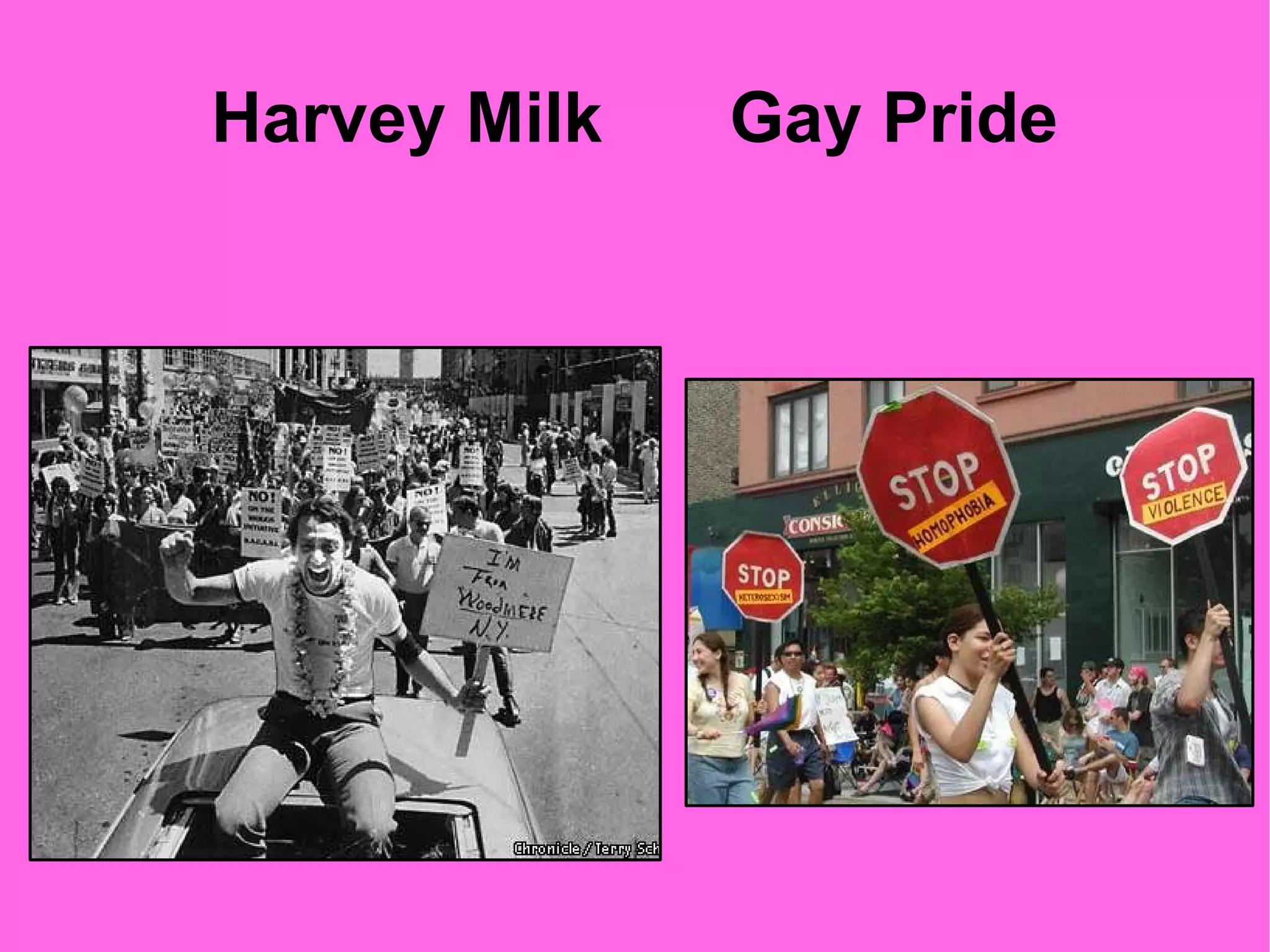 Harvey Milk  Gay Pride 