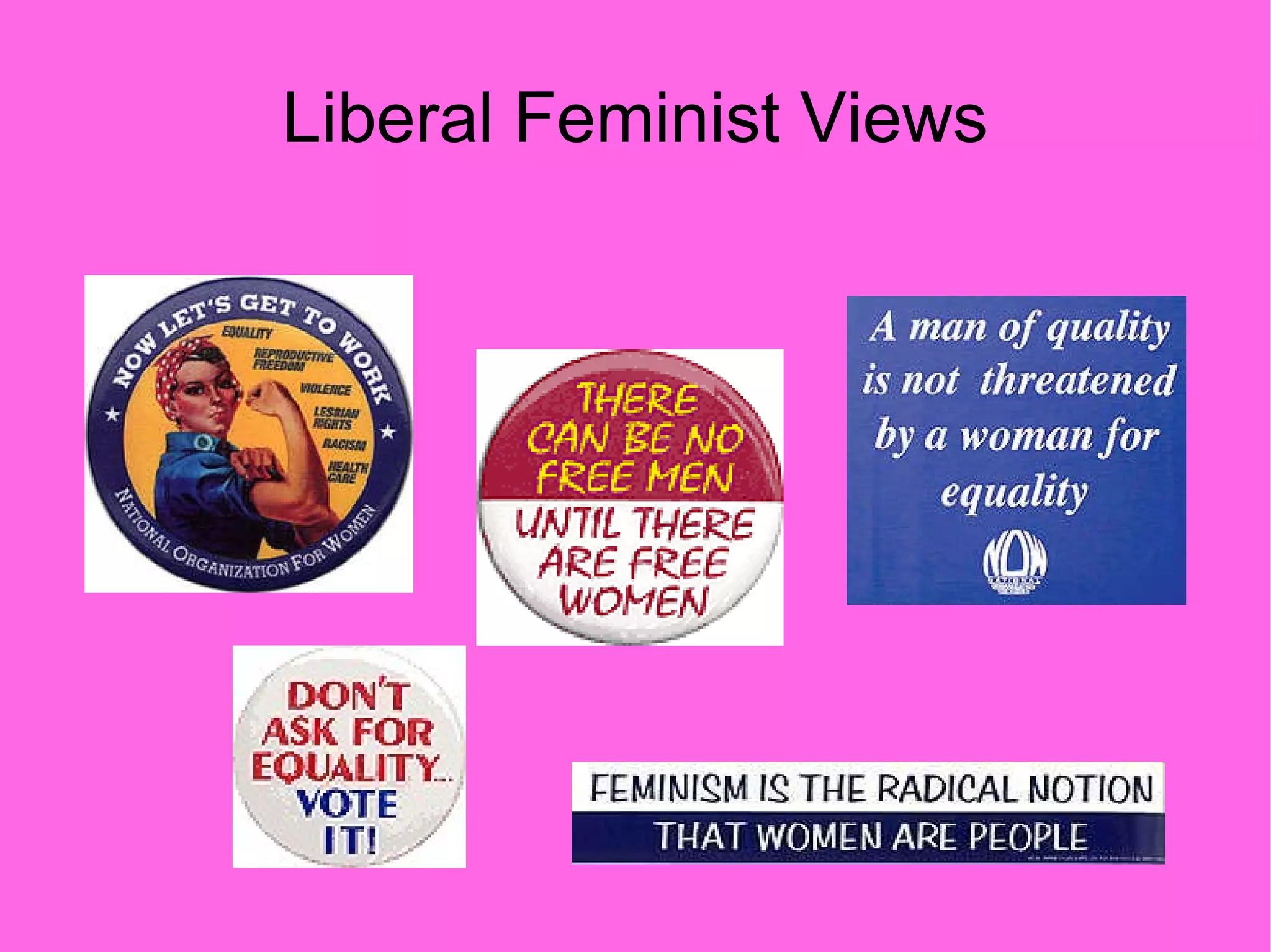 Liberal Feminist Views 
