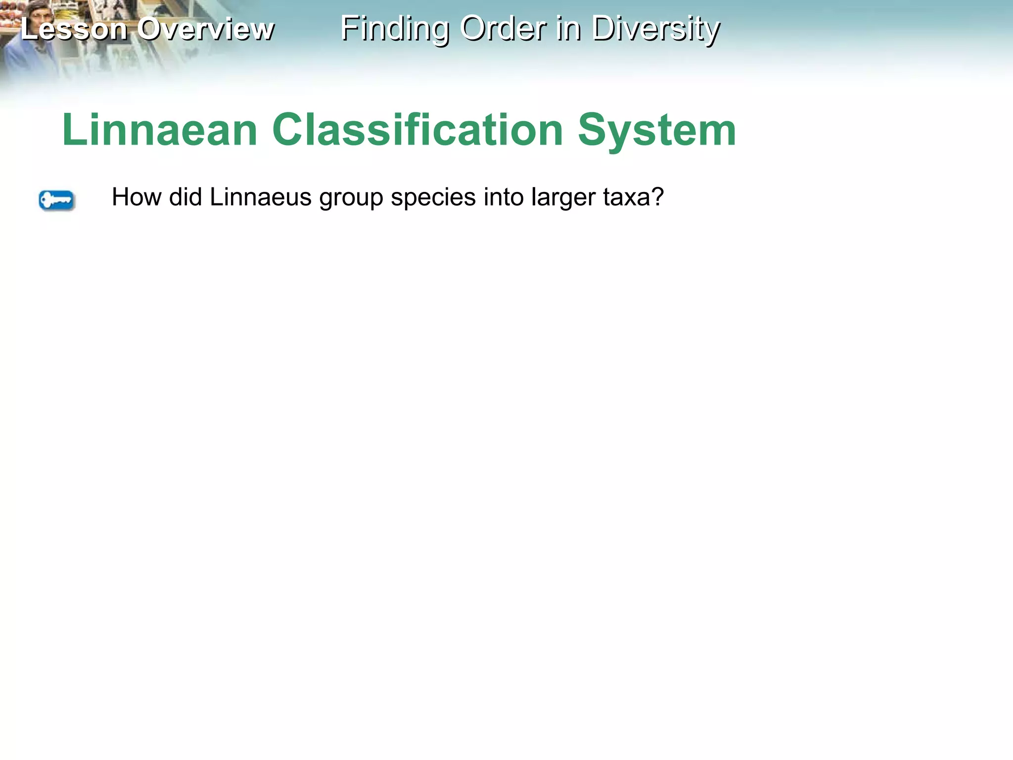 Linnaean Classification System How did Linnaeus group species into larger taxa? 