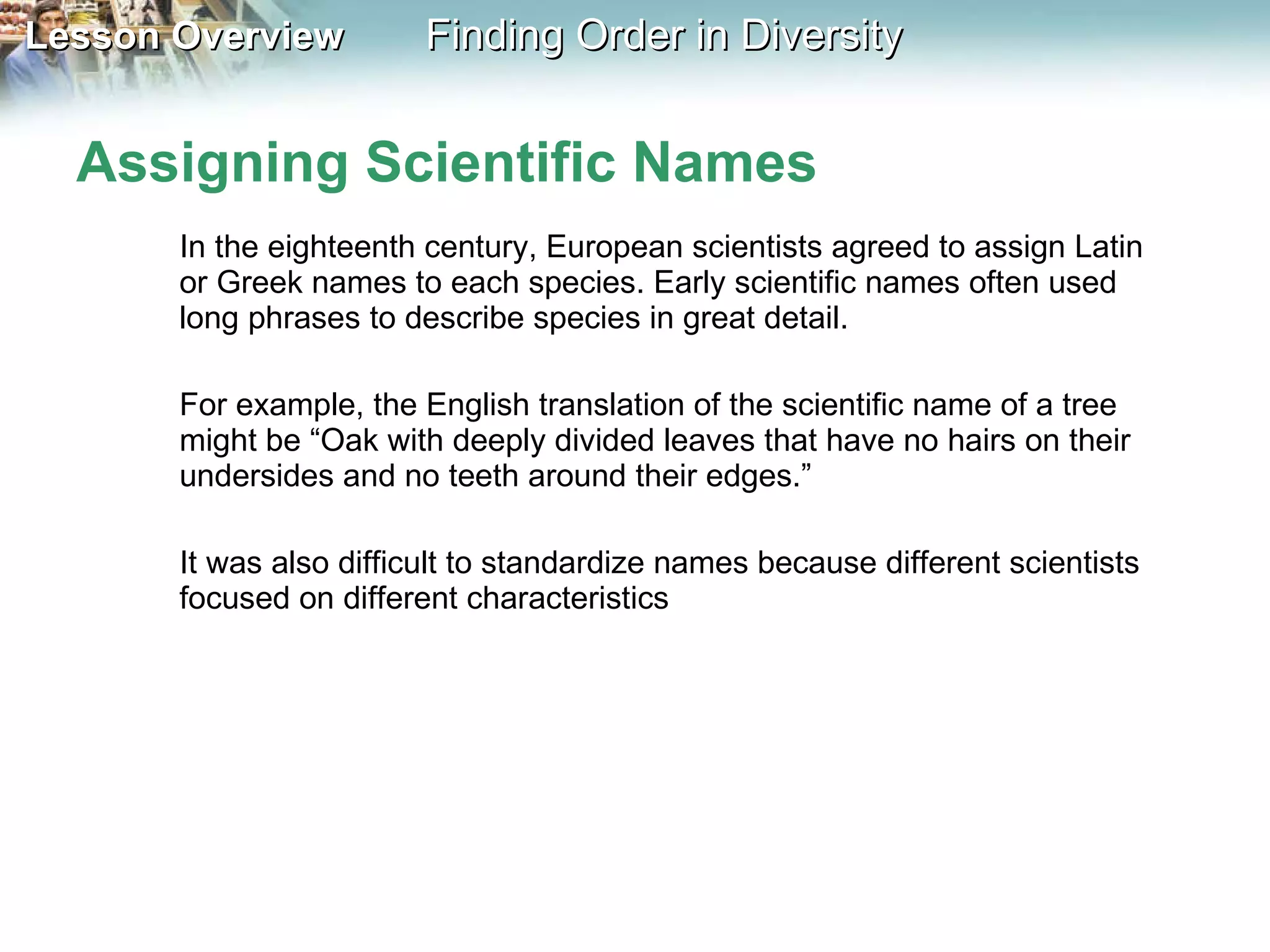 Assigning Scientific Names In the eighteenth century, European scientists agreed to assign Latin or Greek names to each species. Early scientific names often used long phrases to describe species in great detail.  For example, the English translation of the scientific name of a tree might be “Oak with deeply divided leaves that have no hairs on their undersides and no teeth around their edges.”  It was also difficult to standardize names because different scientists focused on different characteristics 