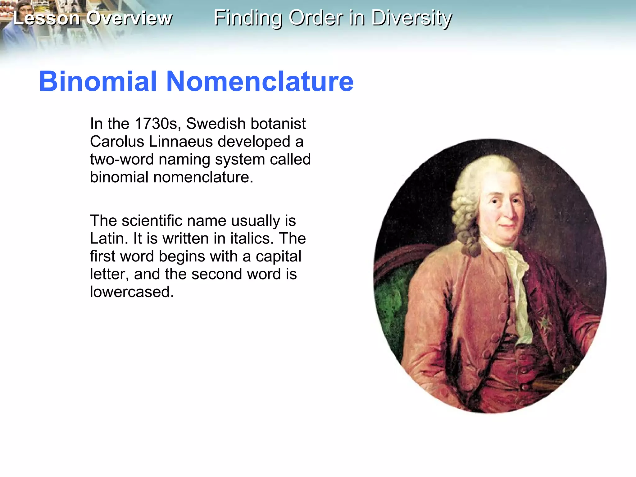 Binomial Nomenclature In the 1730s, Swedish botanist Carolus Linnaeus developed a two-word naming system called binomial nomenclature.  The scientific name usually is Latin. It is written in italics. The first word begins with a capital letter, and the second word is lowercased. 