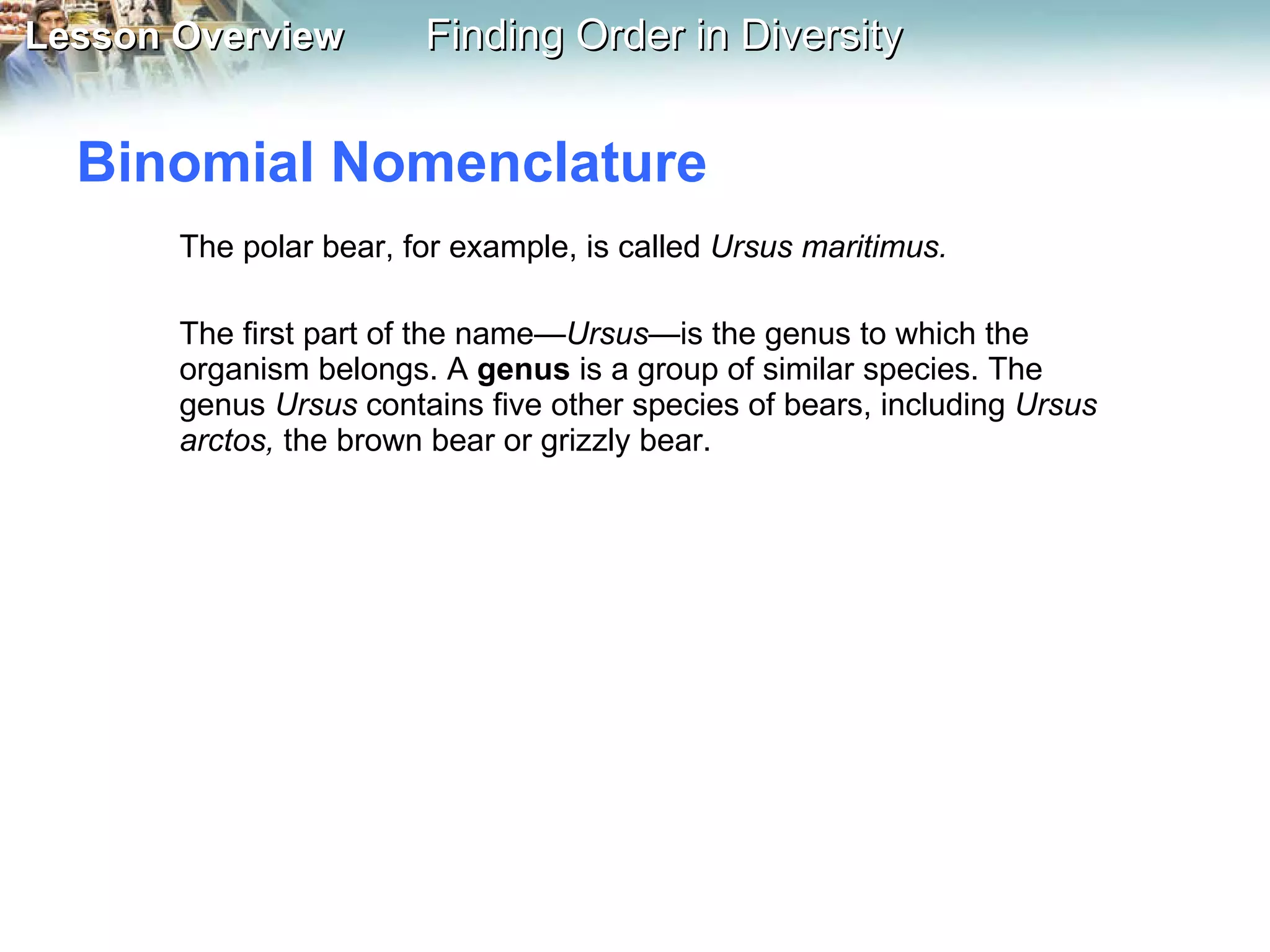 Binomial Nomenclature The polar bear, for example, is called  Ursus maritimus.  The first part of the name— Ursus— is the genus to which the organism belongs. A  genus  is a group of similar species. The genus  Ursus  contains five other species of bears, including  Ursus arctos,  the brown bear or grizzly bear.  