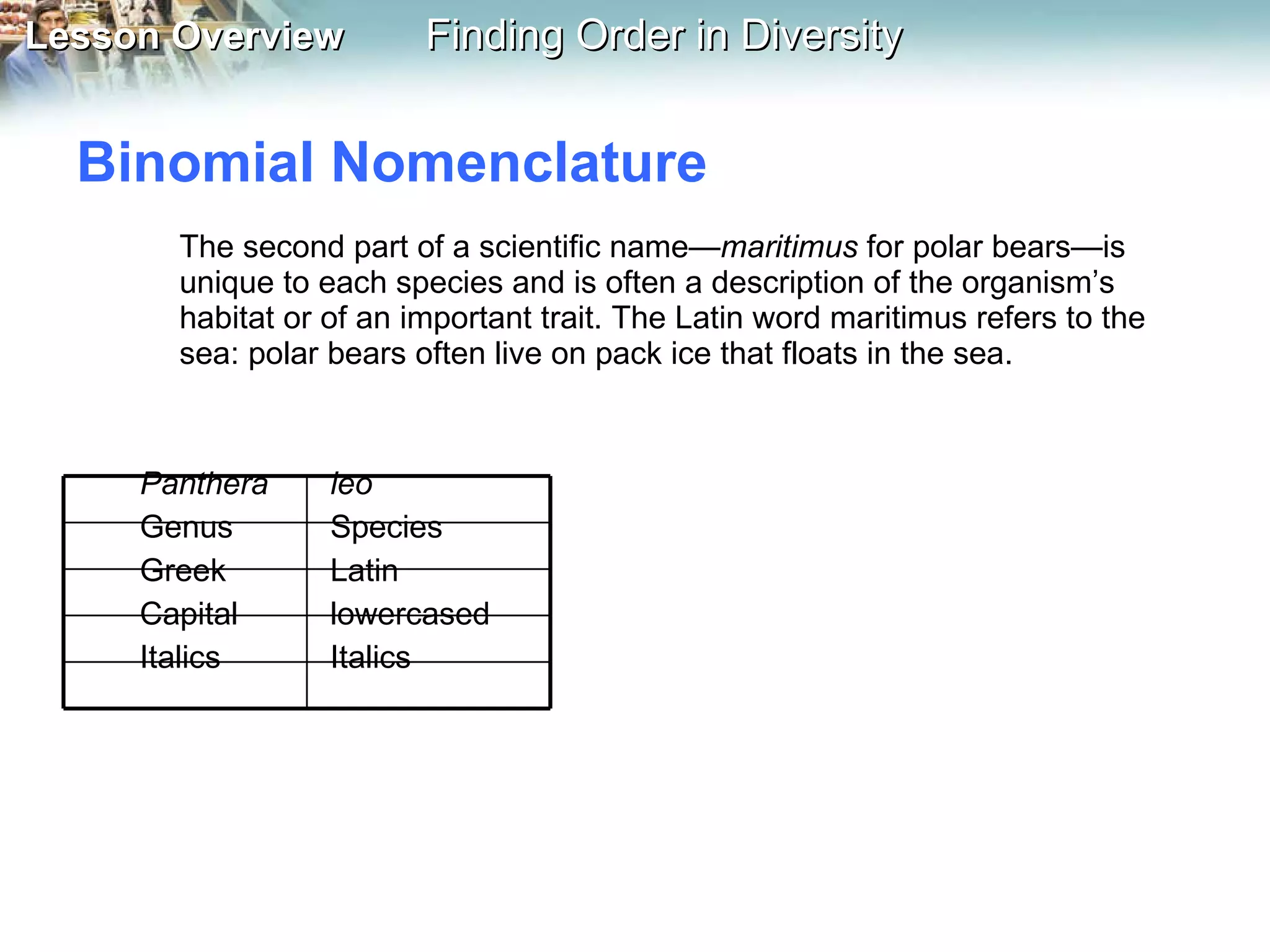 Binomial Nomenclature The second part of a scientific name— maritimus  for polar bears—is unique to each species and is often a description of the organism’s habitat or of an important trait. The Latin word maritimus refers to the sea: polar bears often live on pack ice that floats in the sea. Panthera leo Genus Species Greek Latin Capital lowercased Italics Italics 