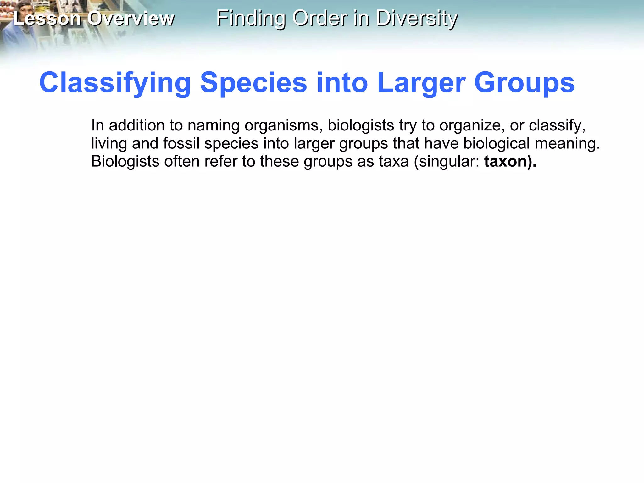 Classifying Species into Larger Groups In addition to naming organisms, biologists try to organize, or classify, living and fossil species into larger groups that have biological meaning. Biologists often refer to these groups as taxa (singular:  taxon). 