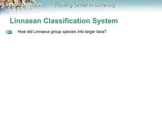 Linnaean Classification System How did Linnaeus group species into larger taxa? 