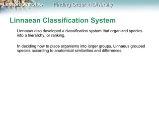 Linnaean Classification System Linnaeus also developed a classification system that organized species into a hierarchy, or ranking.  In deciding how to place organisms into larger groups, Linnaeus grouped species according to anatomical similarities and differences. 