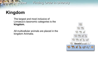 Kingdom  The largest and most inclusive of Linnaeus’s taxonomic categories is the  kingdom.  All multicellular animals are placed in the kingdom Animalia. 