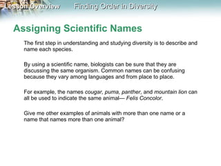 Assigning Scientific Names The first step in understanding and studying diversity is to describe and name each species. By using a scientific name, biologists can be sure that they are discussing the same organism. Common names can be confusing because they vary among languages and from place to place.  For example, the names  cougar, puma, panther , and  mountain lion  can all be used to indicate the same animal—  Felis Concolor .  Give me other examples of animals with more than one name or a name that names more than one animal? 