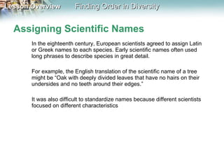 Assigning Scientific Names In the eighteenth century, European scientists agreed to assign Latin or Greek names to each species. Early scientific names often used long phrases to describe species in great detail.  For example, the English translation of the scientific name of a tree might be “Oak with deeply divided leaves that have no hairs on their undersides and no teeth around their edges.”  It was also difficult to standardize names because different scientists focused on different characteristics 