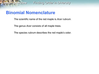 Binomial Nomenclature The scientific name of the red maple is  Acer rubrum.  The genus  Acer  consists of all maple trees.  The species  rubrum  describes the red maple’s color . 