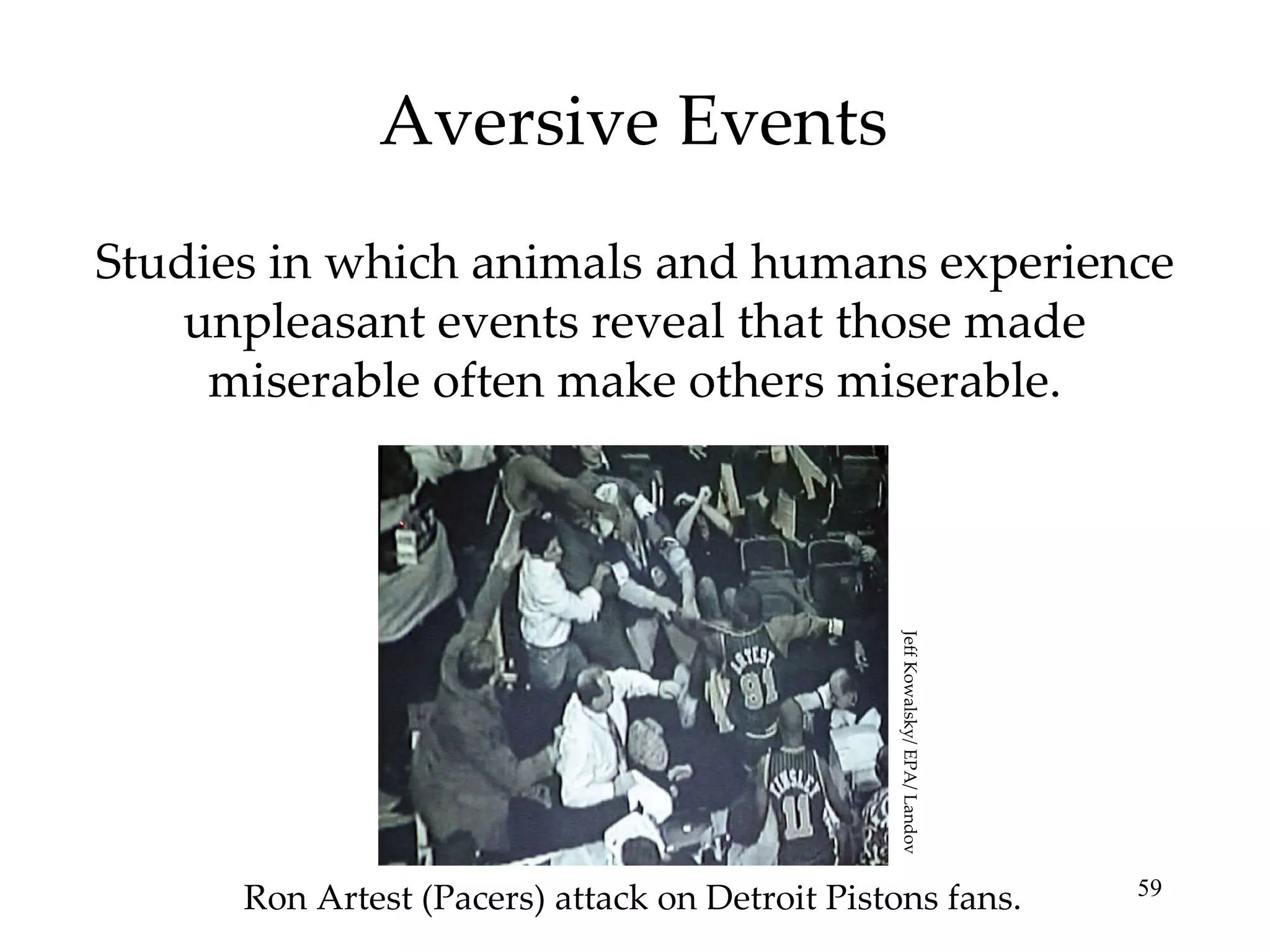 Aversive Events Studies in which animals and humans experience unpleasant events reveal that those made miserable often make others miserable. Ron Artest (Pacers) attack on Detroit Pistons fans. Jeff Kowalsky/ EPA/ Landov 