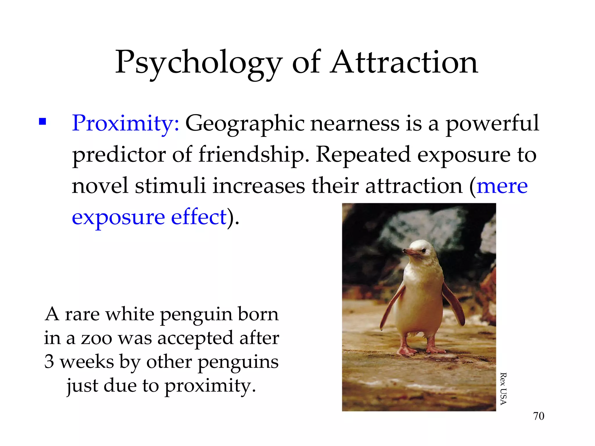 Psychology of Attraction Proximity:  Geographic nearness is a powerful predictor of friendship. Repeated exposure to novel stimuli increases their attraction ( mere exposure effect ). A rare white penguin born in a zoo was accepted after 3 weeks by other penguins just due to proximity. Rex USA 