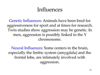 Influences Genetic Influences:   Animals have been bred for aggressiveness for sport and at times for research. Twin studies show aggression may be genetic. In men, aggression is possibly linked to the Y chromosome. Neural Influences:   Some centers in the brain, especially the limbic system (amygdala) and the frontal lobe, are intimately involved with aggression. 
