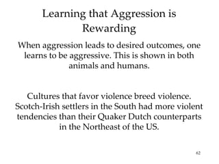 Learning that Aggression is Rewarding When aggression leads to desired outcomes, one learns to be aggressive. This is shown in both animals and humans. Cultures that favor violence breed violence. Scotch-Irish settlers in the South had more violent tendencies than their Quaker Dutch counterparts in the Northeast of the US. 